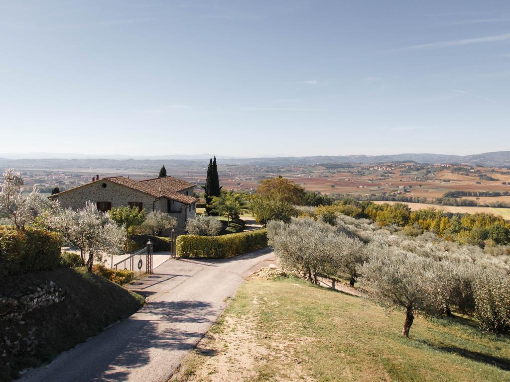Agriturismo Le Colombe Assisi Exteriér fotografie