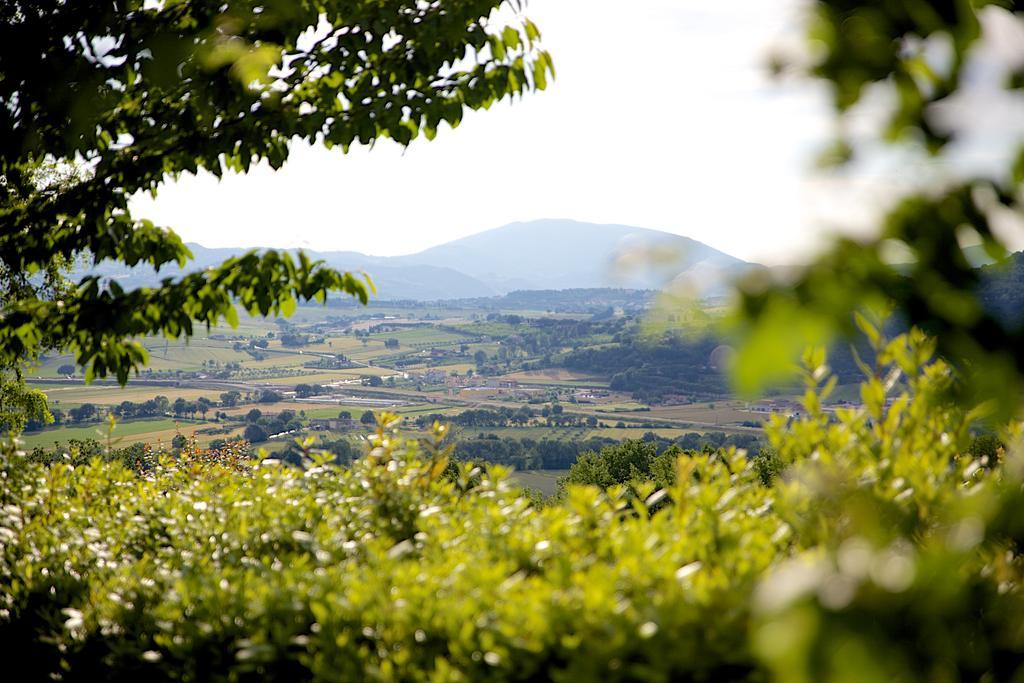 Agriturismo Le Colombe Assisi Exteriér fotografie