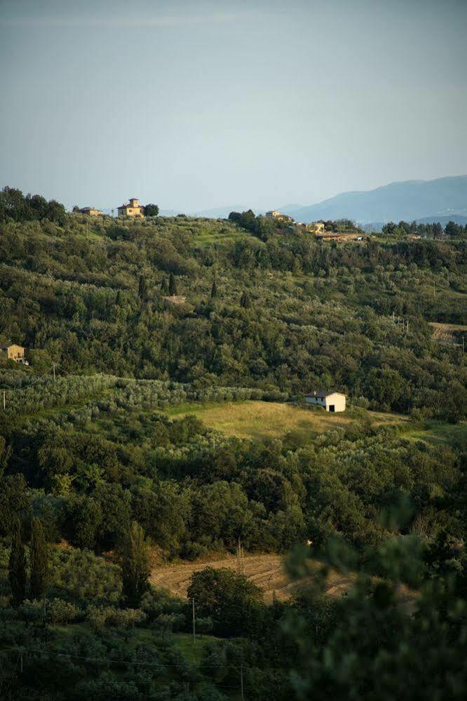 Agriturismo Le Colombe Assisi Exteriér fotografie